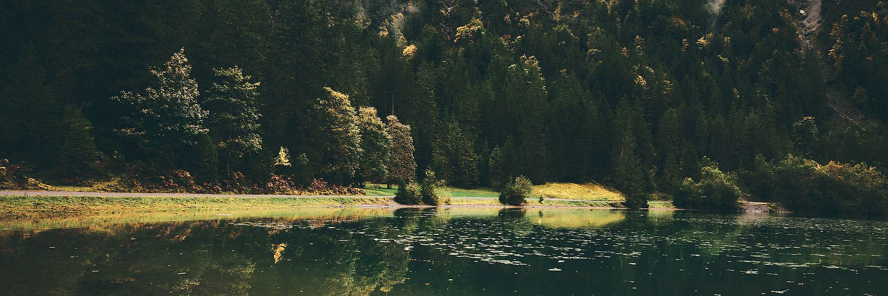 Herbstliche Bäume spiegeln sich im klaren Heiterwanger See
